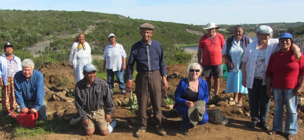 We invited residents from the wider Stilbaai area to reestablish indigenous species alongside the local community