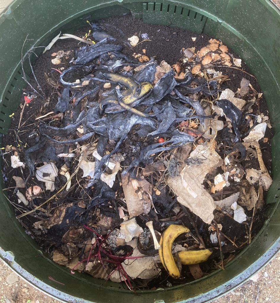 Example of inside a Green Johanna after a period of use - here partially decomposed waste on top of compost that is ready to be removed