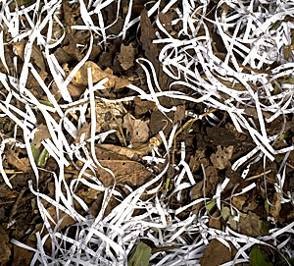 If too much 'brown' is added - such as twigs, dry leaves and shredded paper - the compost won't break down and remain the same