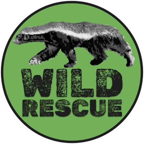 Wild Rescue