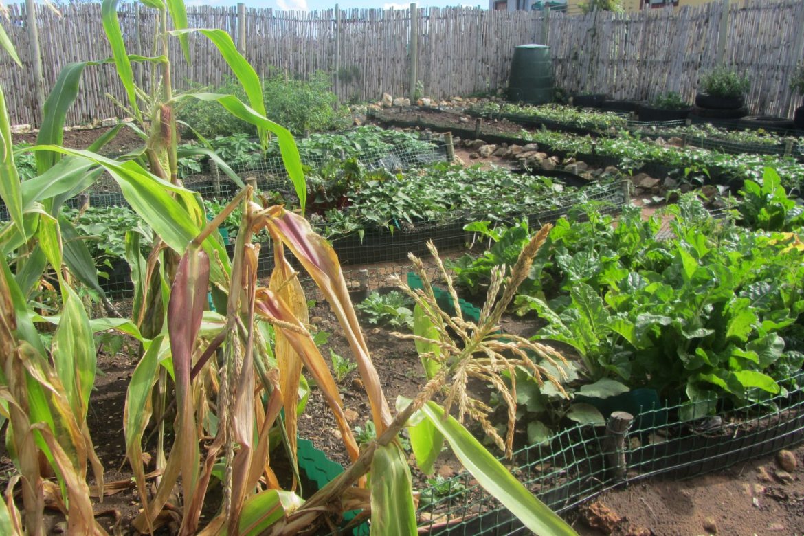 Sustainability Projects